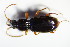  ( - GBOL_Col_FK_1060)  @12 [ ] CreativeCommons - Attribution Non-Commercial Share-Alike (2015) Unspecified SNSB, Zoologische Staatssammlung Muenchen