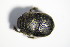  ( - GBOL_Col_FK_1221)  @11 [ ] CreativeCommons - Attribution Non-Commercial Share-Alike (2015) Unspecified SNSB, Zoologische Staatssammlung Muenchen