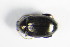  ( - GBOL_Col_FK_1282)  @12 [ ] CreativeCommons - Attribution Non-Commercial Share-Alike (2015) Unspecified SNSB, Zoologische Staatssammlung Muenchen