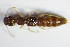  ( - GBOL_Col_FK_1283)  @13 [ ] CreativeCommons - Attribution Non-Commercial Share-Alike (2015) Unspecified SNSB, Zoologische Staatssammlung Muenchen