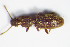  ( - GBOL_Col_FK_1391)  @13 [ ] CreativeCommons - Attribution Non-Commercial Share-Alike (2015) Unspecified SNSB, Zoologische Staatssammlung Muenchen
