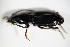  ( - GBOL_Col_FK_1496)  @12 [ ] CreativeCommons - Attribution Non-Commercial Share-Alike (2015) Unspecified SNSB, Zoologische Staatssammlung Muenchen