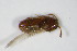  ( - GBOL_Col_FK_0588)  @12 [ ] CreativeCommons - Attribution Non-Commercial Share-Alike (2015) Unspecified SNSB, Zoologische Staatssammlung Muenchen