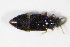  ( - GBOL_Col_FK_0627)  @12 [ ] CreativeCommons - Attribution Non-Commercial Share-Alike (2015) Unspecified SNSB, Zoologische Staatssammlung Muenchen