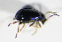  ( - GBOL_Col_FK_1647)  @12 [ ] CreativeCommons - Attribution Non-Commercial Share-Alike (2015) Unspecified SNSB, Zoologische Staatssammlung Muenchen