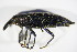  ( - GBOL_Col_FK_1683)  @14 [ ] CreativeCommons - Attribution Non-Commercial Share-Alike (2015) Unspecified SNSB, Zoologische Staatssammlung Muenchen