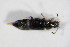  ( - GBOL_Col_FK_1790)  @12 [ ] CreativeCommons - Attribution Non-Commercial Share-Alike (2015) Unspecified SNSB, Zoologische Staatssammlung Muenchen