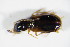  ( - GBOL_Col_FK_1871)  @12 [ ] CreativeCommons - Attribution Non-Commercial Share-Alike (2015) Unspecified SNSB, Zoologische Staatssammlung Muenchen