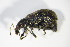  ( - GBOL_Col_FK_2091)  @13 [ ] CreativeCommons - Attribution Non-Commercial Share-Alike (2015) Unspecified SNSB, Zoologische Staatssammlung Muenchen