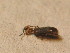  ( - GBOL_Col_FK_2686)  @12 [ ] CreativeCommons - Attribution Non-Commercial Share-Alike (2015) Unspecified SNSB, Zoologische Staatssammlung Muenchen