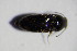  ( - GBOL_Col_FK_3694)  @11 [ ] CreativeCommons - Attribution Non-Commercial Share-Alike (2015) Unspecified SNSB, Zoologische Staatssammlung Muenchen