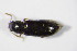  ( - GBOL_Col_FK_5771)  @12 [ ] CreativeCommons - Attribution Non-Commercial Share-Alike (2015) Unspecified SNSB, Zoologische Staatssammlung Muenchen