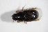  ( - GBOL_Col_FK_5284)  @11 [ ] CreativeCommons - Attribution Non-Commercial Share-Alike (2015) Unspecified SNSB, Zoologische Staatssammlung Muenchen