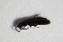  ( - GBOL_Col_FK_7421)  @12 [ ] CreativeCommons - Attribution Non-Commercial Share-Alike (2015) Unspecified SNSB, Zoologische Staatssammlung Muenchen