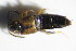  ( - GBOL_Col_FK_7423)  @12 [ ] CreativeCommons - Attribution Non-Commercial Share-Alike (2015) Unspecified SNSB, Zoologische Staatssammlung Muenchen