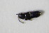  ( - GBOL_Col_FK_7594)  @11 [ ] CreativeCommons - Attribution Non-Commercial Share-Alike (2015) Unspecified SNSB, Zoologische Staatssammlung Muenchen