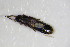 ( - GBOL_Col_FK_0859)  @11 [ ] CreativeCommons - Attribution Non-Commercial Share-Alike (2015) Unspecified SNSB, Zoologische Staatssammlung Muenchen