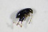  ( - GBOL_Col_FK_4966)  @12 [ ] CreativeCommons - Attribution Non-Commercial Share-Alike (2015) Unspecified SNSB, Zoologische Staatssammlung Muenchen