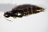  ( - GBOL_Col_FK_5852)  @11 [ ] CreativeCommons - Attribution Non-Commercial Share-Alike (2015) Unspecified SNSB, Zoologische Staatssammlung Muenchen