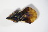  ( - GBOL_Col_FK_4059)  @12 [ ] CreativeCommons - Attribution Non-Commercial Share-Alike (2015) Unspecified SNSB, Zoologische Staatssammlung Muenchen