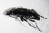  ( - GBOL_Col_FK_4257)  @12 [ ] CreativeCommons - Attribution Non-Commercial Share-Alike (2015) Unspecified SNSB, Zoologische Staatssammlung Muenchen