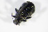  ( - GBOL_Col_FK_4458)  @11 [ ] CreativeCommons - Attribution Non-Commercial Share-Alike (2015) Unspecified SNSB, Zoologische Staatssammlung Muenchen