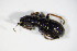  ( - GBOL_Col_FK_4566)  @12 [ ] CreativeCommons - Attribution Non-Commercial Share-Alike (2015) Unspecified SNSB, Zoologische Staatssammlung Muenchen