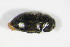  ( - GBOL_Col_FK_4572)  @12 [ ] CreativeCommons - Attribution Non-Commercial Share-Alike (2015) Unspecified SNSB, Zoologische Staatssammlung Muenchen