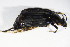  ( - GBOL_Col_FK_4632)  @13 [ ] CreativeCommons - Attribution Non-Commercial Share-Alike (2015) Unspecified SNSB, Zoologische Staatssammlung Muenchen
