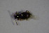  ( - GBOL_Col_FK_4668)  @12 [ ] CreativeCommons - Attribution Non-Commercial Share-Alike (2015) Unspecified SNSB, Zoologische Staatssammlung Muenchen