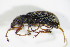  ( - GBOL_Col_FK_2373)  @13 [ ] CreativeCommons - Attribution Non-Commercial Share-Alike (2015) Unspecified SNSB, Zoologische Staatssammlung Muenchen
