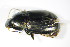  ( - GBOL_Col_FK_2842)  @13 [ ] CreativeCommons - Attribution Non-Commercial Share-Alike (2015) Unspecified SNSB, Zoologische Staatssammlung Muenchen