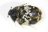  ( - GBOL_Col_FK_2870)  @12 [ ] CreativeCommons - Attribution Non-Commercial Share-Alike (2015) Unspecified SNSB, Zoologische Staatssammlung Muenchen