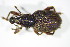  ( - GBOL_Col_FK_2895)  @13 [ ] CreativeCommons - Attribution Non-Commercial Share-Alike (2015) Unspecified SNSB, Zoologische Staatssammlung Muenchen