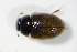  ( - GBOL_Col_FK_2971)  @12 [ ] CreativeCommons - Attribution Non-Commercial Share-Alike (2015) Unspecified SNSB, Zoologische Staatssammlung Muenchen