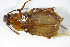  ( - GBOL_Col_FK_2990)  @13 [ ] CreativeCommons - Attribution Non-Commercial Share-Alike (2015) Unspecified SNSB, Zoologische Staatssammlung Muenchen