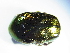  ( - GBOL_Col_FK_3054)  @11 [ ] CreativeCommons - Attribution Non-Commercial Share-Alike (2015) Unspecified SNSB, Zoologische Staatssammlung Muenchen