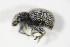  ( - GBOL_Col_FK_3056)  @12 [ ] CreativeCommons - Attribution Non-Commercial Share-Alike (2015) Unspecified SNSB, Zoologische Staatssammlung Muenchen