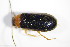  ( - GBOL_Col_FK_3256)  @12 [ ] CreativeCommons - Attribution Non-Commercial Share-Alike (2015) Unspecified SNSB, Zoologische Staatssammlung Muenchen