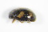  ( - GBOL_Col_FK_3394)  @12 [ ] CreativeCommons - Attribution Non-Commercial Share-Alike (2015) Unspecified SNSB, Zoologische Staatssammlung Muenchen