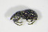  (Pseudoperapion - GBOL_Col_FK_3796)  @13 [ ] CreativeCommons - Attribution Non-Commercial Share-Alike (2015) Unspecified SNSB, Zoologische Staatssammlung Muenchen