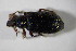  ( - GBOL 01269)  @12 [ ] CreativeCommons - Attribution Non-Commercial Share-Alike (2015) Unspecified SNSB, Zoologische Staatssammlung Muenchen