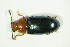  ( - GBOL04277)  @11 [ ] CreativeCommons - Attribution Non-Commercial Share-Alike (2015) Unspecified SNSB, Zoologische Staatssammlung Muenchen
