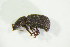  ( - GBOL04499)  @11 [ ] CreativeCommons - Attribution Non-Commercial Share-Alike (2015) Unspecified SNSB, Zoologische Staatssammlung Muenchen