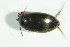  ( - GBOL04953)  @12 [ ] CreativeCommons - Attribution Non-Commercial Share-Alike (2015) Unspecified SNSB, Zoologische Staatssammlung Muenchen