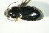  ( - GBOL06107)  @13 [ ] CreativeCommons - Attribution Non-Commercial Share-Alike (2015) Unspecified SNSB, Zoologische Staatssammlung Muenchen
