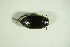  (Hydroporus planus - GBOL07679)  @13 [ ] CreativeCommons - Attribution Non-Commercial Share-Alike (2015) Unspecified SNSB, Zoologische Staatssammlung Muenchen