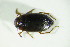  ( - GBOL08416)  @11 [ ] CreativeCommons - Attribution Non-Commercial Share-Alike (2015) Unspecified SNSB, Zoologische Staatssammlung Muenchen