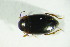  ( - GBOL08428)  @12 [ ] CreativeCommons - Attribution Non-Commercial Share-Alike (2015) Unspecified SNSB, Zoologische Staatssammlung Muenchen