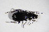  ( - GBOL10128)  @11 [ ] CreativeCommons - Attribution Non-Commercial Share-Alike (2015) Unspecified SNSB, Zoologische Staatssammlung Muenchen